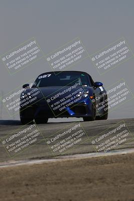 media/Jun-01-2025-PCA Golden Gate (Sun) [[9e4b10205a]]/Blue and Green/Session 1 (Grapevine)/